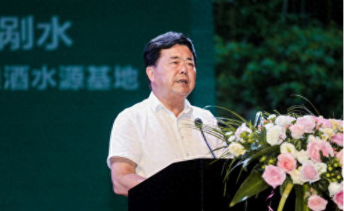 合肥十大有钱人排行榜(安徽十大有钱人排行)插图8