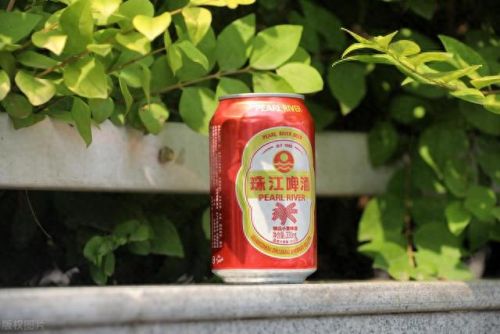 广东特色黄酒排名前十(中国黄酒龙头企业排名)插图