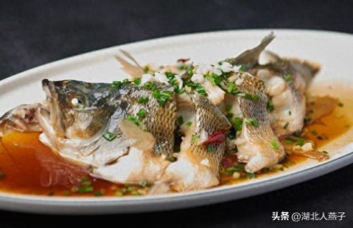 女士十大滋补品排行榜大全(女性经典滋补品)插图7