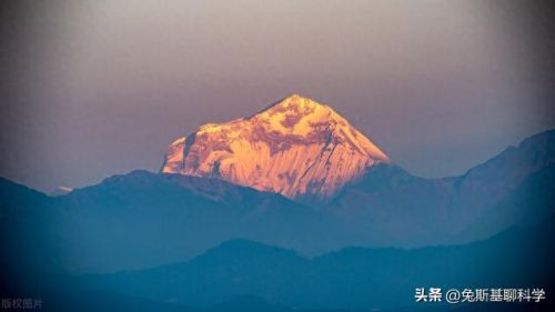 珠峰高度排名前十(哪种鸟飞行高度可以逾越珠峰)插图7 珠峰高度排名前十(哪种鸟飞行高度可以逾越珠峰)插图7