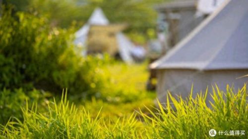 全画幅相机十大排行榜(十款最好全画幅相机)插图3