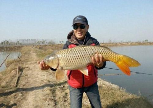 十大土豪鱼排行榜视频播放(雷龙鱼十大禁忌)插图