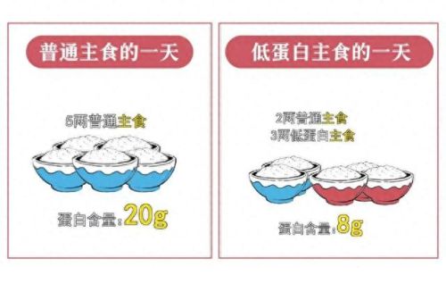 十大低质蛋白食物排行榜(不含蛋白质食物一览表)插图1 十大低质蛋白食物排行榜(不含蛋白质食物一览表)插图1