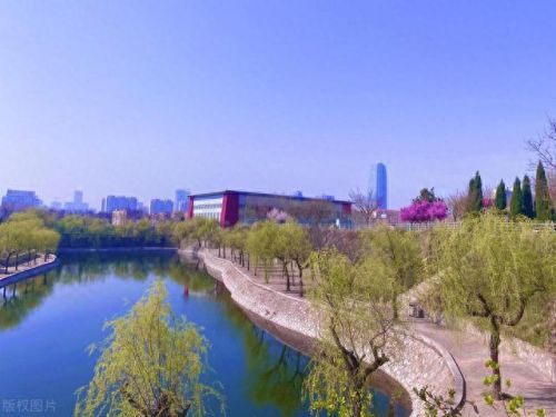 山东省十大名校排行榜(山东名校排名前十名)