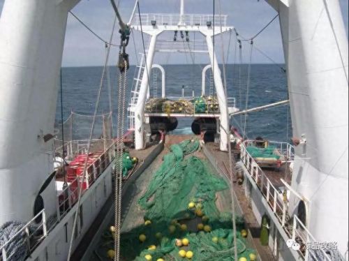 冻品虾十大品牌排行榜图片(冻品虾)插图4 冻品虾十大品牌排行榜图片(冻品虾)插图4