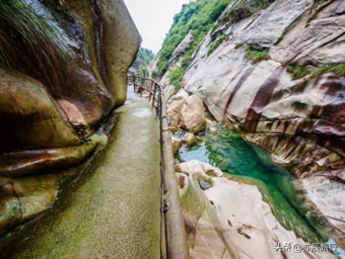 台州亲子游十大排行榜(台州十大露营地)插图13