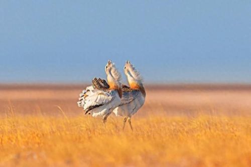 全国旅行摩托排名前十(国内前十旅游摩托车)插图29 全国旅行摩托排名前十(国内前十旅游摩托车)插图29