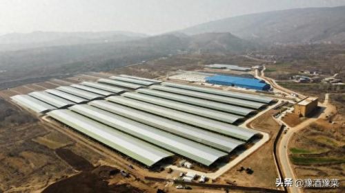 广东十大牛肉品牌排行榜(国内10大牛肉品牌)插图 广东十大牛肉品牌排行榜(国内10大牛肉品牌)插图