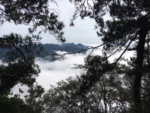 全球最美云海排名前十(最美云海在哪里)插图1 全球最美云海排名前十(最美云海在哪里)插图1