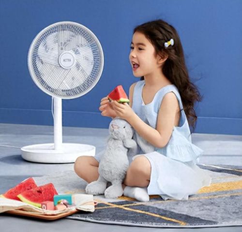 十大风扇灯品牌排行榜图片(大风扇灯2023新款)插图9 十大风扇灯品牌排行榜图片(大风扇灯2023新款)插图9