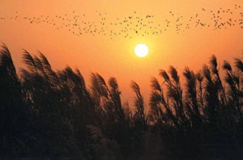 南沙亲子乐园十大排行榜(南沙最大的儿童乐园)插图3