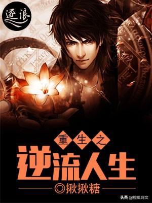 重生十大小说排行榜完本(十部顶级重生穿越小说)插图7