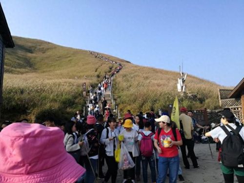 苏州恐怖景点排名前十(苏州十大良心景区免费)插图8 苏州恐怖景点排名前十(苏州十大良心景区免费)插图8