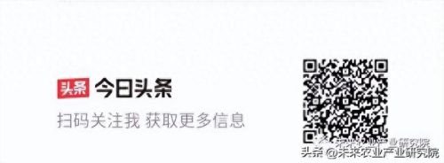 世界蔬果排名前十图片(世界粮食产量排名)插图9 世界蔬果排名前十图片(世界粮食产量排名)插图9