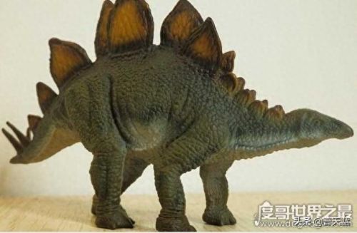 恐龙十大排行榜谁最大(恐龙排名到底谁最强)插图3