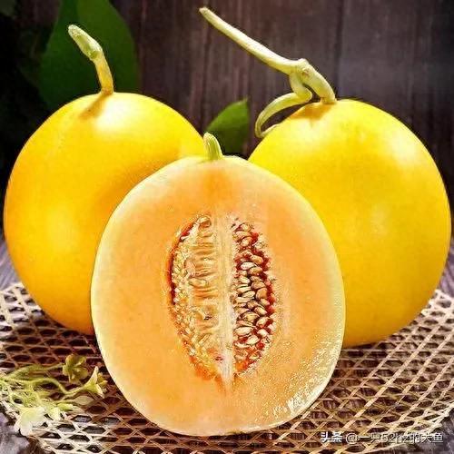 甜瓜品种十大排行榜图片(500个瓜图片)插图7