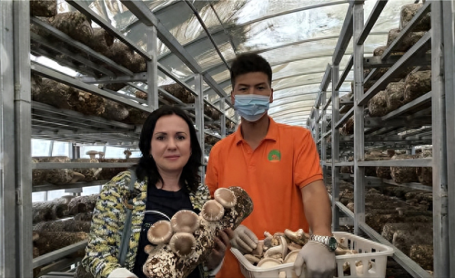 新疆城市移民排名前十(新疆外地人排行榜)插图1