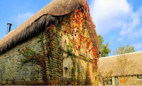 山东住宿基地排名前十(山东最大的宿舍区)插图20 山东住宿基地排名前十(山东最大的宿舍区)插图20