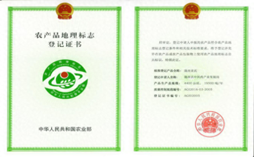 国内十大黄芪品牌排行榜最新(黄芪仙鹤草的十大功效)插图5