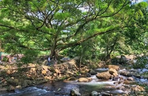 广州石楼名宿排名前十(广州黄埔区民宿)