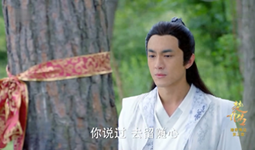 楚乔传十大帅哥排行榜(外国人看楚乔传)