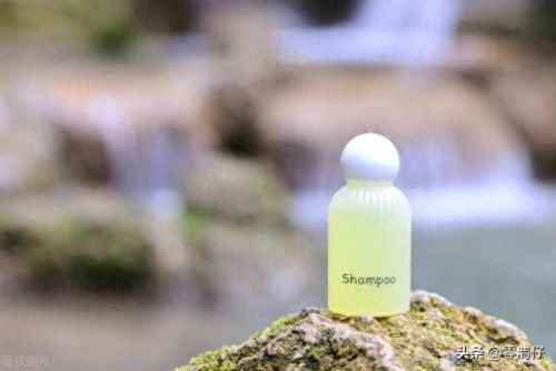 十大国际洗发水排行榜(国内十大最好用洗发水无硅油)插图4