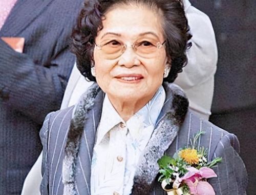 香港十大年轻女富豪排行榜(香港女富豪杜丽君)插图