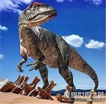 恐龙十大排行榜谁最大(恐龙排名到底谁最强)插图7
