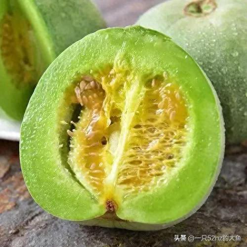 甜瓜品种十大排行榜图片(500个瓜图片)插图5