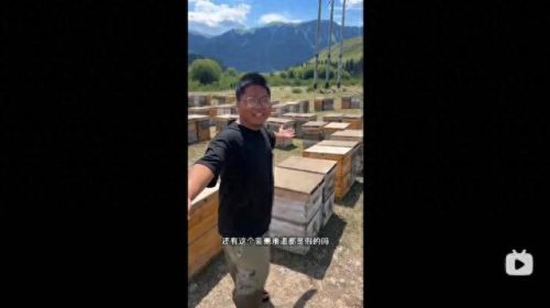 火烧云十大up主排行榜(up主排行榜火烧云)插图17 火烧云十大up主排行榜(up主排行榜火烧云)插图17