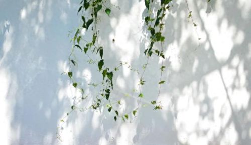 临沂十大面条店排行榜图片(临沂面条)插图3