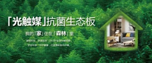 装修材料木板排名前十(装修木板吊顶哪种最好)插图15