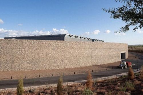 山西肉鸽销量排名前十(大熊养殖肉鸽)插图4 山西肉鸽销量排名前十(大熊养殖肉鸽)插图4