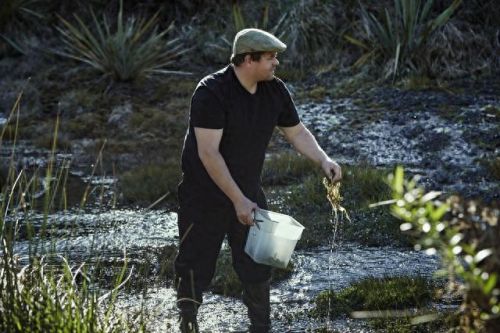 奥克兰最佳餐馆排名前十(奥克兰餐厅排行榜)插图12 奥克兰最佳餐馆排名前十(奥克兰餐厅排行榜)插图12
