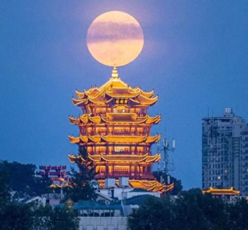 少林寺十大骗局排行榜最新(最新十大骗局蒙眼识字)插图2 少林寺十大骗局排行榜最新(最新十大骗局蒙眼识字)插图2