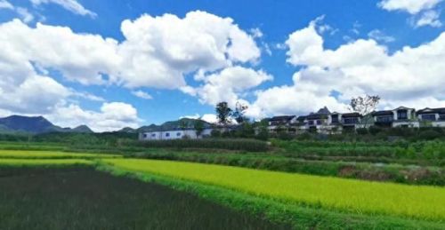 金华最差楼盘排名前十(金华最差小区排名)插图2 金华最差楼盘排名前十(金华最差小区排名)插图2