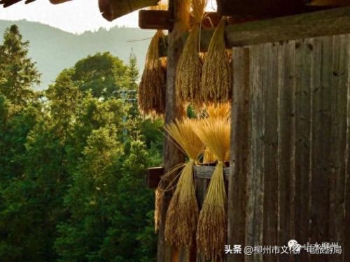 柳州十大摄影师排行榜图片(柳州全家福摄影前十名)插图26