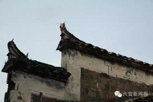 江北旅游村庄排名前十(宁波江北洪塘最大的村庄)插图37 江北旅游村庄排名前十(宁波江北洪塘最大的村庄)插图37