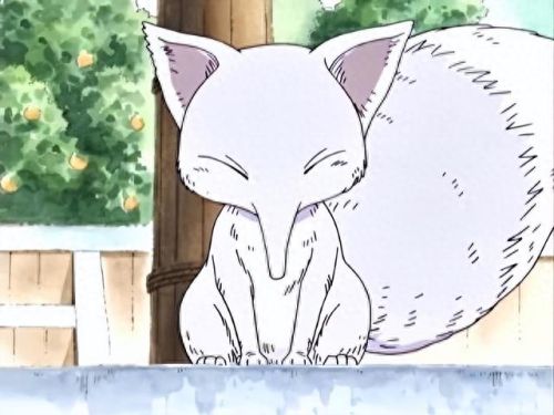 航海王十大萌宠排行榜(航海萌宠)插图2