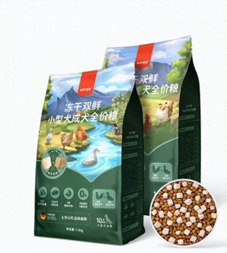 十大最友好的狗排行榜国产(十大最便宜的狗排名榜)插图9