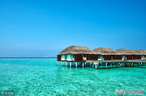 海钓专用鱼船排名前十(东莞海钓场排名)插图1