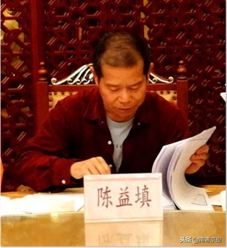 全国十大鸽业品牌排行榜图片(中国十大土豪赛鸽)插图2