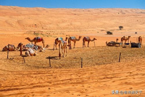 国内沙漠古城排名前十(青海所有沙漠排名)插图21 国内沙漠古城排名前十(青海所有沙漠排名)插图21