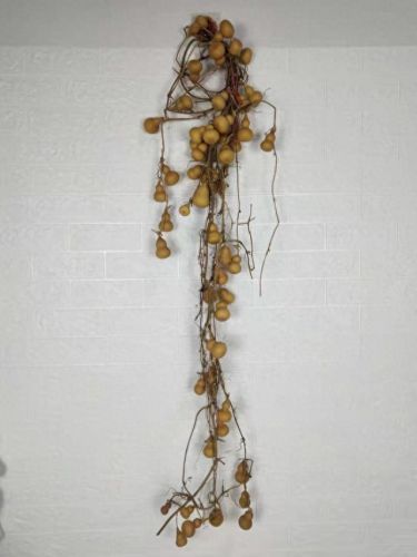 十大辟邪手串排行榜图片(十大辟邪手串排行榜)插图3