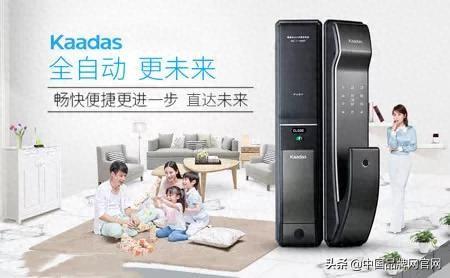 指纹锁耐用排行榜品牌十大(指纹锁十大牌子排行榜)插图1