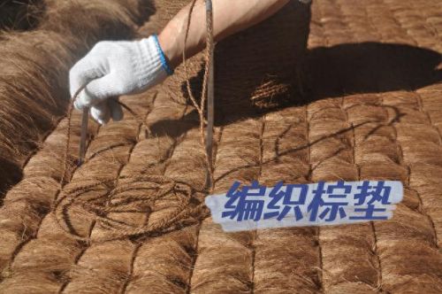 棕垫床垫十大排行榜(为什么不建议使用棕垫)插图4