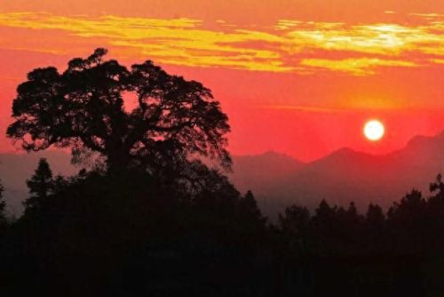 遵义民宿十大排行榜(遵义必吃十大馆子)插图4