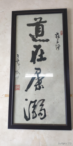 十大容易读错的字体排行榜(网红字体)插图5