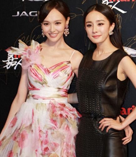 中国十大女明星闺蜜排行榜(世界十大美女明星)插图7