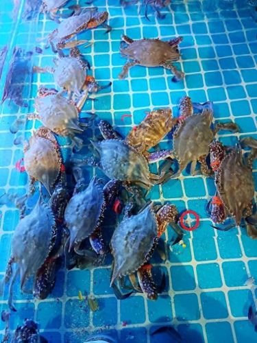 威海小众县城排名前十(威海排名前十的地方)插图14 威海小众县城排名前十(威海排名前十的地方)插图14